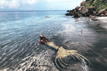 Mermaids